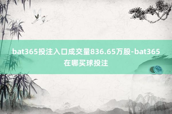 bat365投注入口成交量836.65万股-bat365在哪买球投注