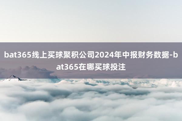 bat365线上买球聚积公司2024年中报财务数据-bat365在哪买球投注