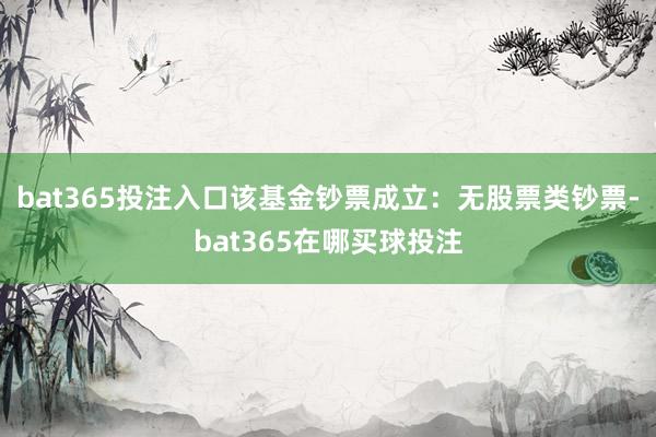 bat365投注入口该基金钞票成立：无股票类钞票-bat365在哪买球投注