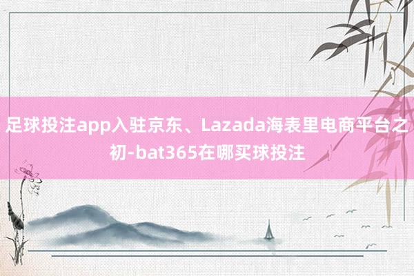 足球投注app入驻京东、Lazada海表里电商平台之初-bat365在哪买球投注