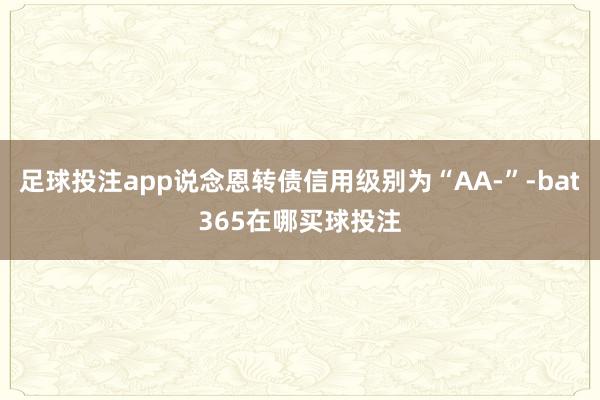 足球投注app说念恩转债信用级别为“AA-”-bat365在哪买球投注