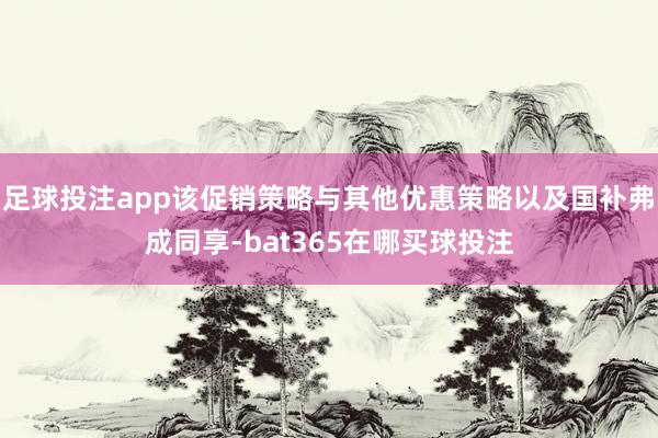 足球投注app该促销策略与其他优惠策略以及国补弗成同享-bat365在哪买球投注