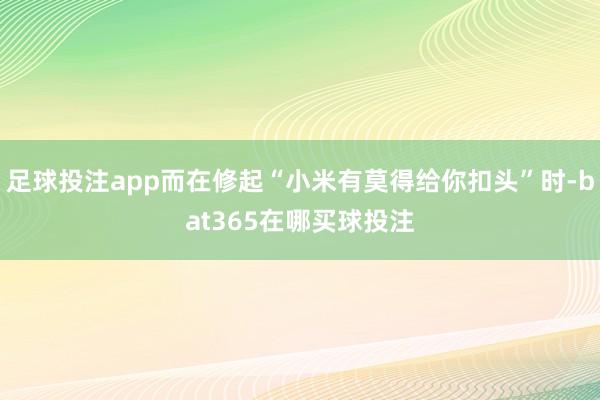 足球投注app而在修起“小米有莫得给你扣头”时-bat365在哪买球投注