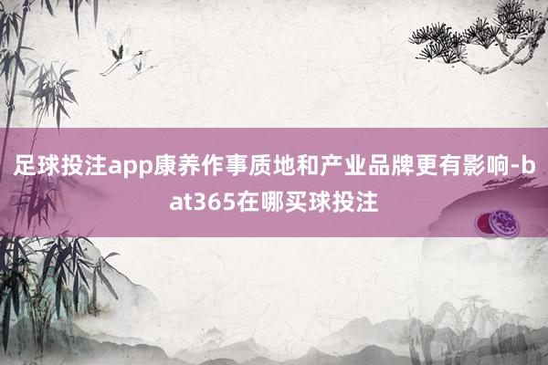 足球投注app康养作事质地和产业品牌更有影响-bat365在哪买球投注