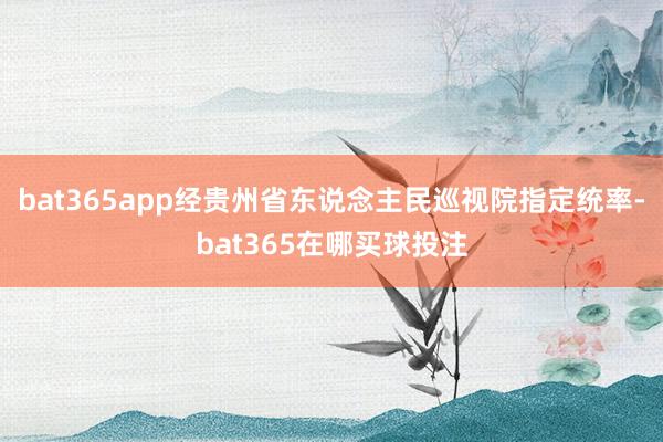 bat365app经贵州省东说念主民巡视院指定统率-bat365在哪买球投注