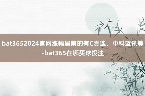 bat3652024官网涨幅居前的有C壹连、中科蓝讯等-bat365在哪买球投注