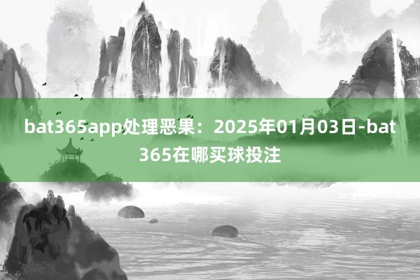 bat365app处理恶果：2025年01月03日-bat365在哪买球投注