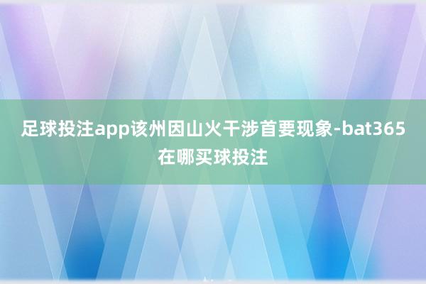 足球投注app该州因山火干涉首要现象-bat365在哪买球投注