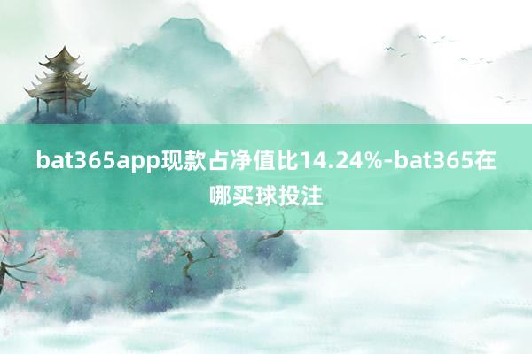 bat365app现款占净值比14.24%-bat365在哪买球投注