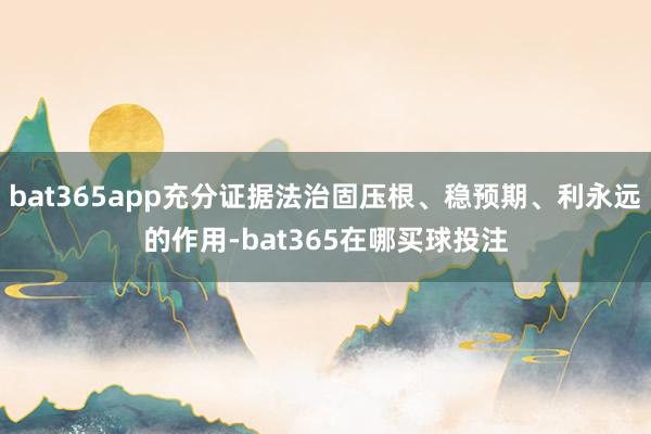 bat365app充分证据法治固压根、稳预期、利永远的作用-bat365在哪买球投注