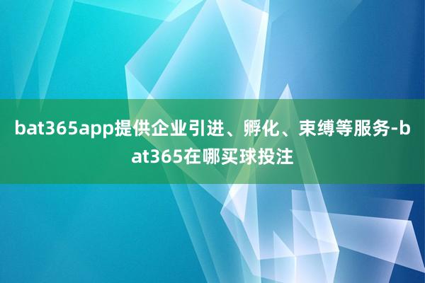 bat365app提供企业引进、孵化、束缚等服务-bat365在哪买球投注