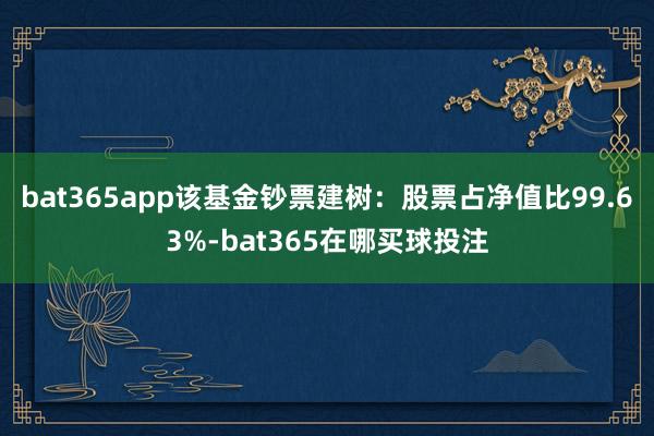 bat365app该基金钞票建树：股票占净值比99.63%-bat365在哪买球投注