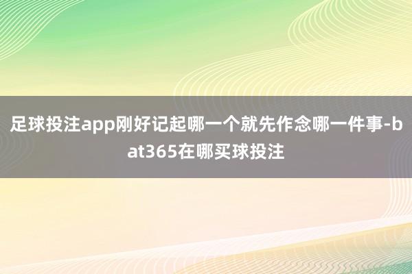 足球投注app刚好记起哪一个就先作念哪一件事-bat365在哪买球投注