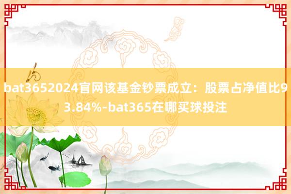bat3652024官网该基金钞票成立：股票占净值比93.84%-bat365在哪买球投注
